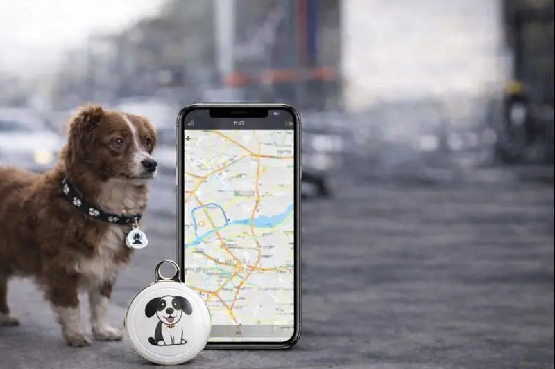 Collier GPS Anti-perte - Trackly