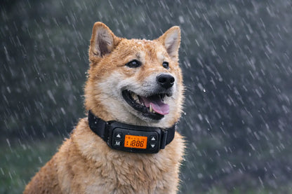 Collier GPS Anti-Fugue pour Chien – Clôture Virtuelle avec Alerte Instantanée