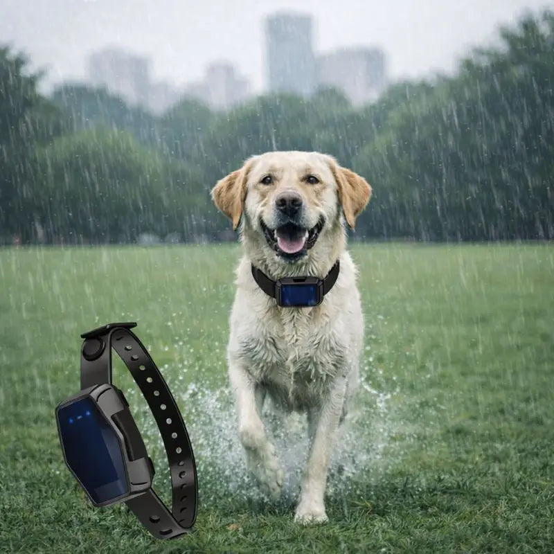 Collier de sécurité GPS - Trackly