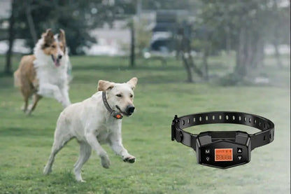 Collier de sécurité GPS - Trackly