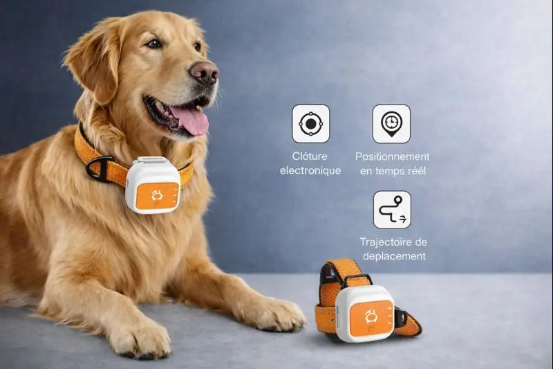 Traceur GPS Avancé - Trackly