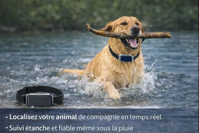 Traceur GPS compact - Trackly